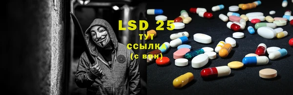 PSILOCYBIN Абинск