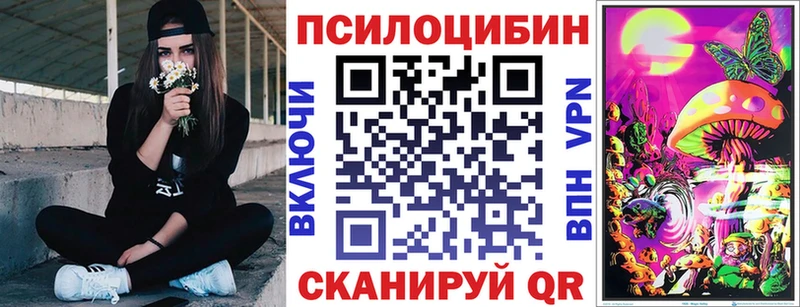 купить закладку Киренск Галлюциногенные грибы Cubensis