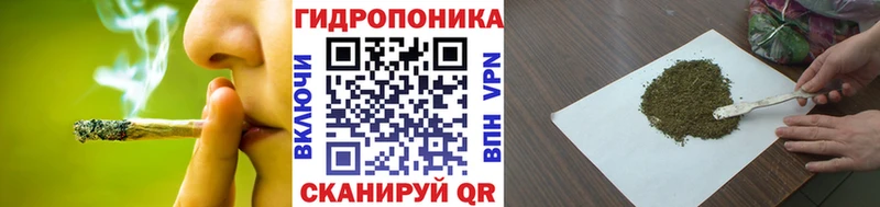 Конопля конопля  где продают наркотики  Киренск 